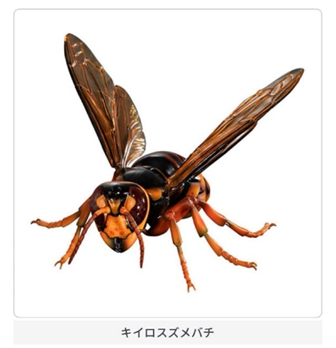 キイロスズメバチ
